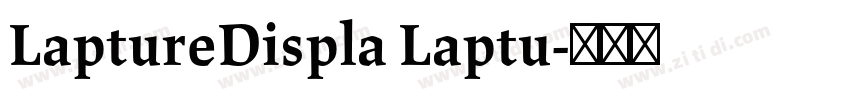 LaptureDispla Laptu字体转换